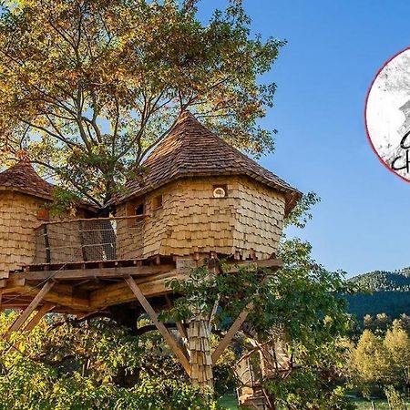 Parthenope - Les Cabanes Du Chene Rouvre Saint-Die-des-Vosges 外观 照片